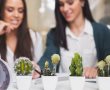שיפור אסתטיקת מקום העבודה: מקרה לצמחייה מלאכותית במשרדים