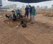 רשות העתיקות החלה בחפירה ארכיאולוגית באזור המע"ר בלב העיר אשדוד