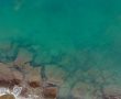 צפו: להקה המונה עשרות כרישים תועדה בחוף חברת החשמל באשדוד (וידאו)