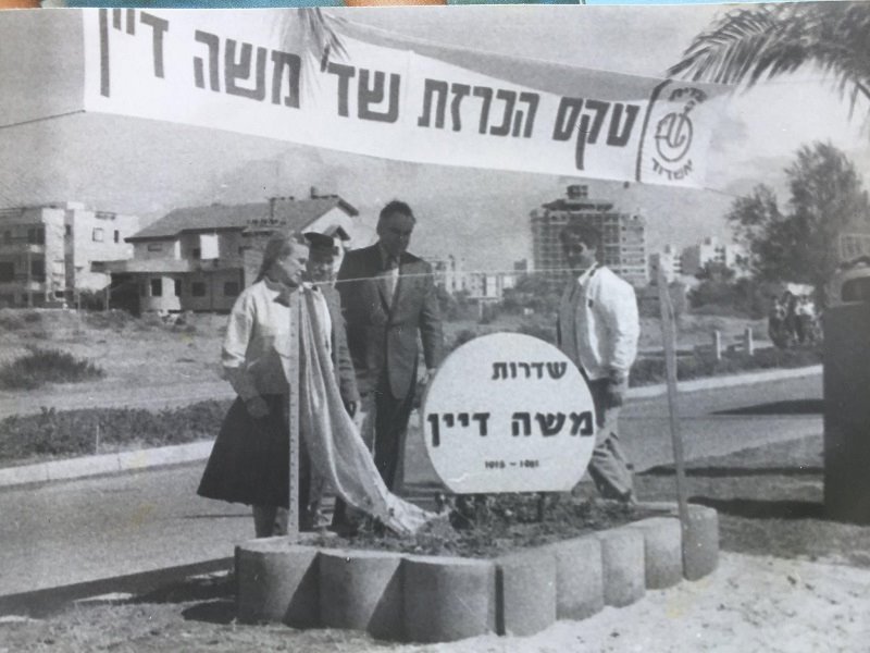 צילום: ישראל דיין