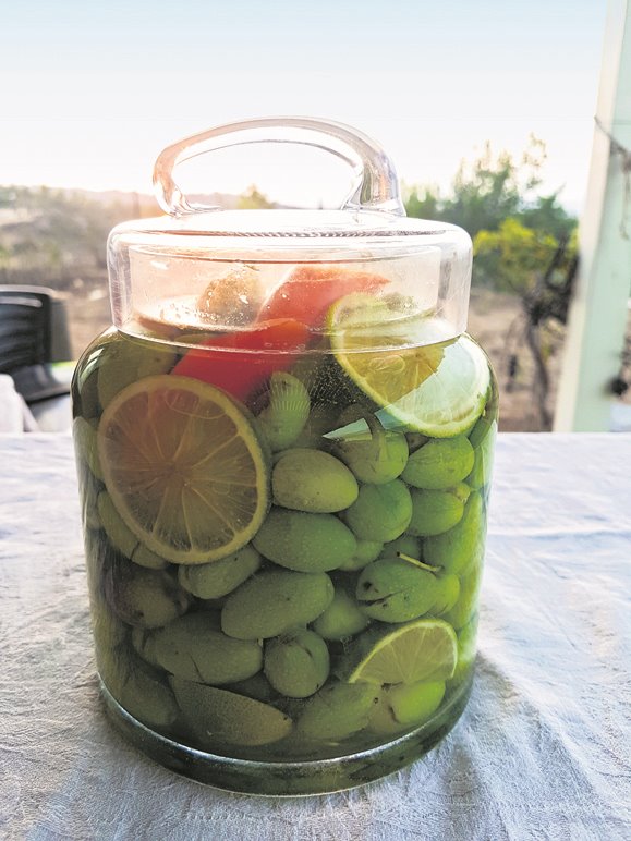 זיתים כאלה לא פוגשים כל יום | צילום פרטי