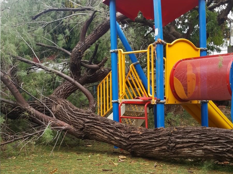 צילום: יהודה גרין, איחוד הצלה