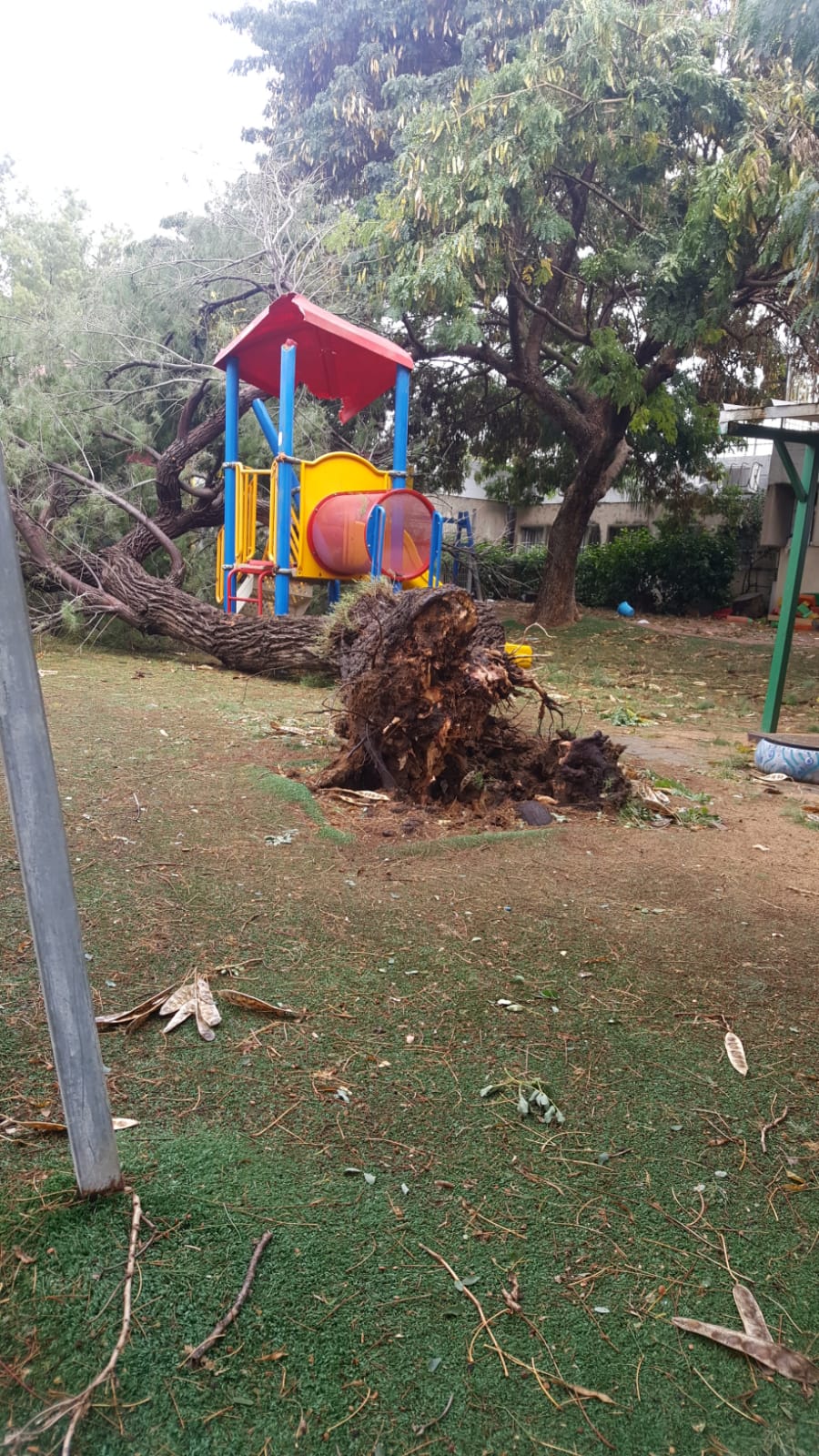 צילום: יהודה גרין, איחוד הצלה