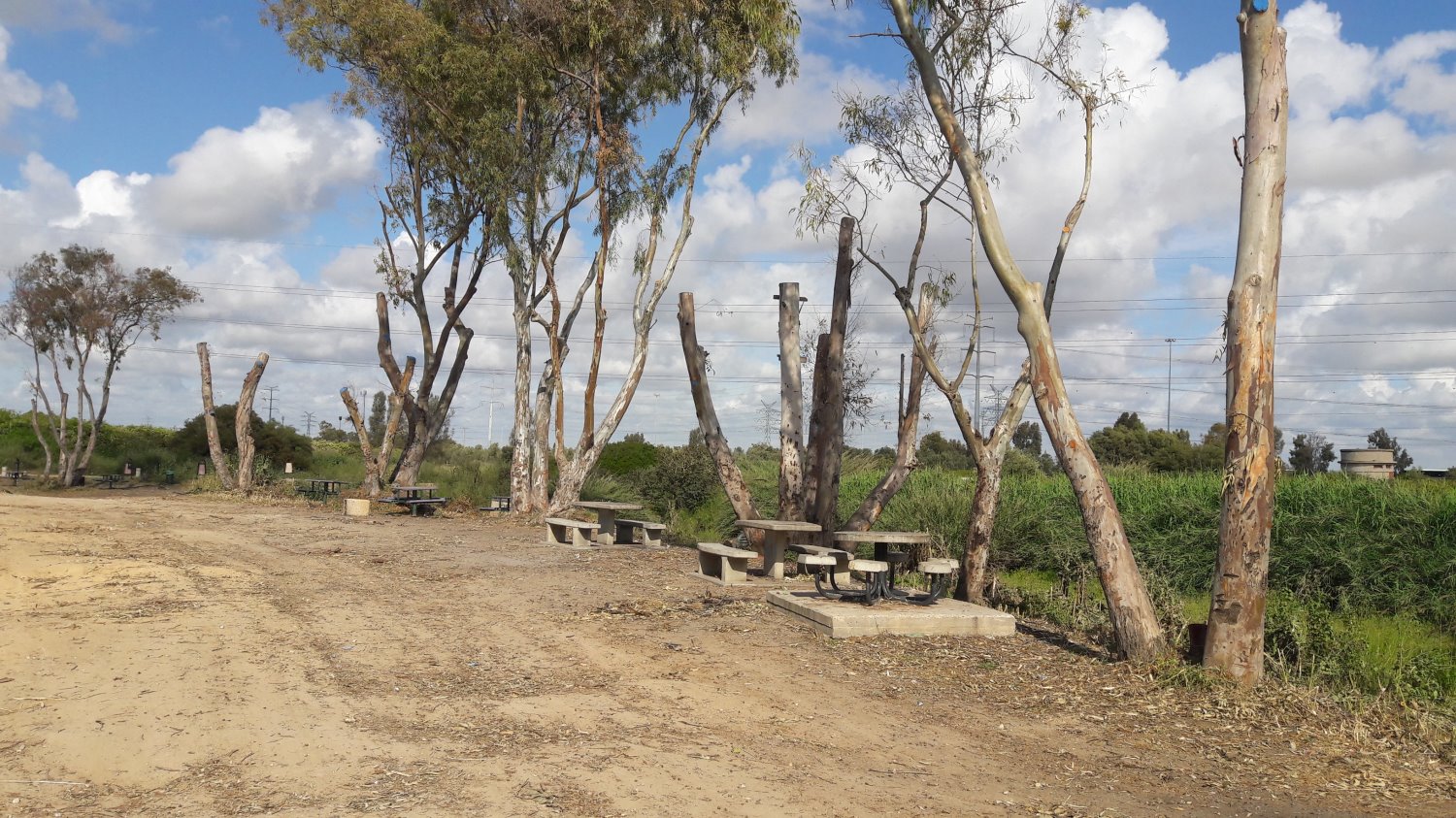 צילום: יעקבי שמעון