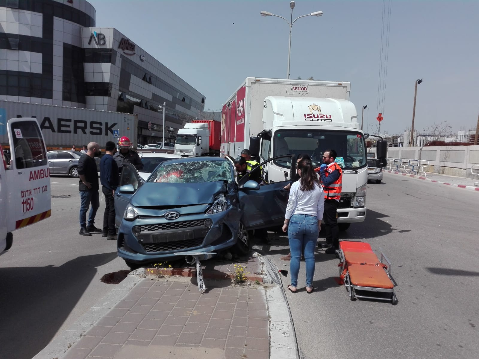 צילום: שמואל סרדינס