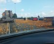 ארגזים של אפרסמונים נפלו ממשאית במחלף אשדוד בהתחברות לכביש 4