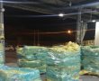 מכס אשדוד: סוכל ניסיון הברחה של כחמישה טון טבק בנמל אשדוד