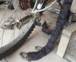 בלי בושה: אופניים של איחוד הצלה המשמשים להצלת חיים נגנבו במהלך הלילה
