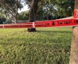 צעיר נוסף נעצר בפרשת  התקיפה החמורה שאירעה בסוף השבוע בפארק באשדוד