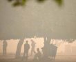ירידה חדה של 21% בזיהום האוויר בל"ג בעומר באשדוד לעומת 2017