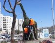 הג'ירפה לובשת חג | צילום: מנהלת רובע י-י״ג