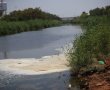 חשד לזיהום בנחל לכיש - תושב אשדוד צילם קצף מסתורי במי הנחל