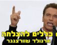 צילום מסך