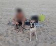 מזהים את הכלב שנשך, על פי החשד, אדם מבוגר בחוף הקשתות?