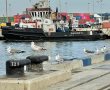 יש פתרון לפקק בנמל אשדוד?