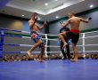 אליפות ה- MMA באשדוד