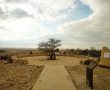 זיכרון במדבר: מסע לאנדרטאות הנסתרות של הר הנגב