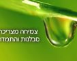 צילום מסך