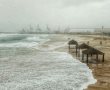 רוחות הסערה באשדוד: עצים קרסו - הים הציף חלק מהחופים (צפו בתמונות)